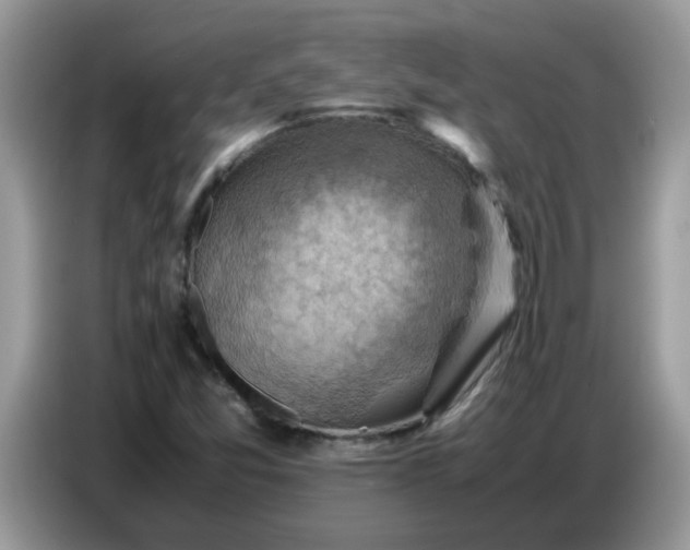 X0000086771357200704271742