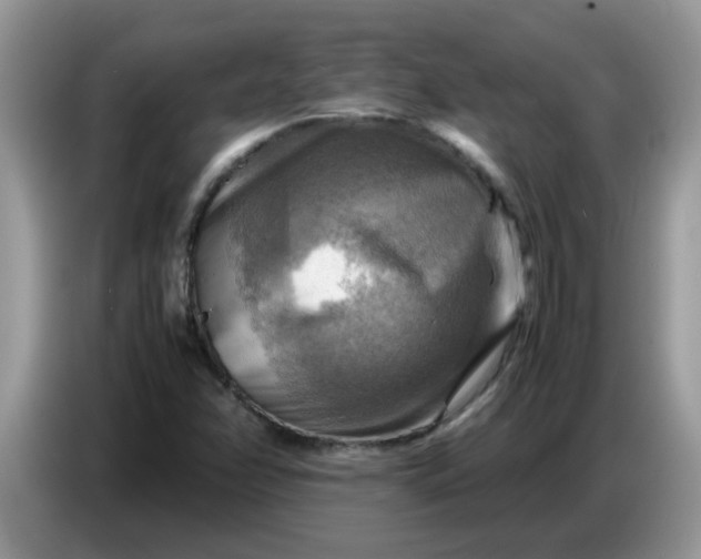 X0000086771358200704271742