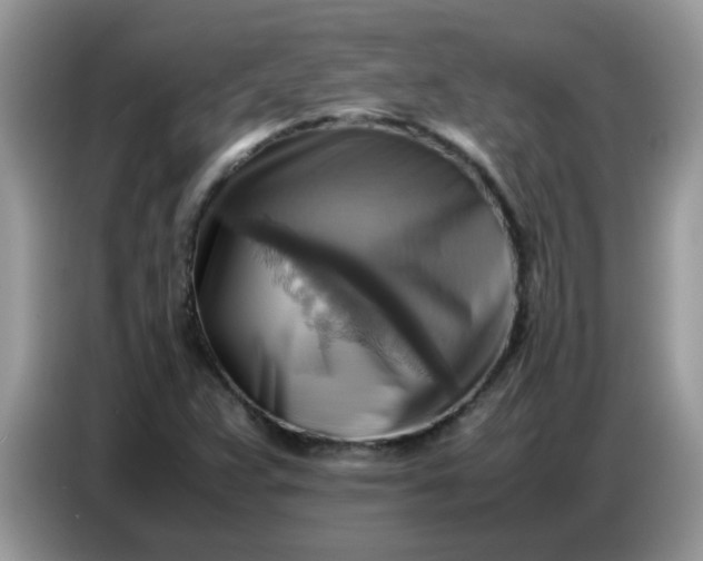 X0000086771359200704271742