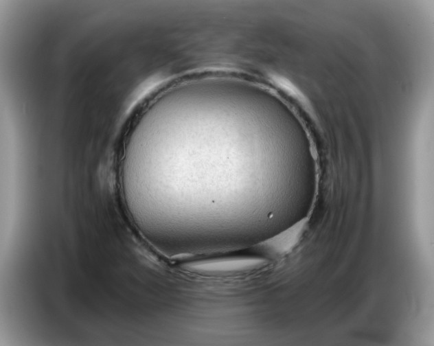 X0000086771360200704271742