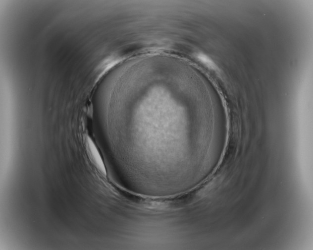 X0000086771361200704271742