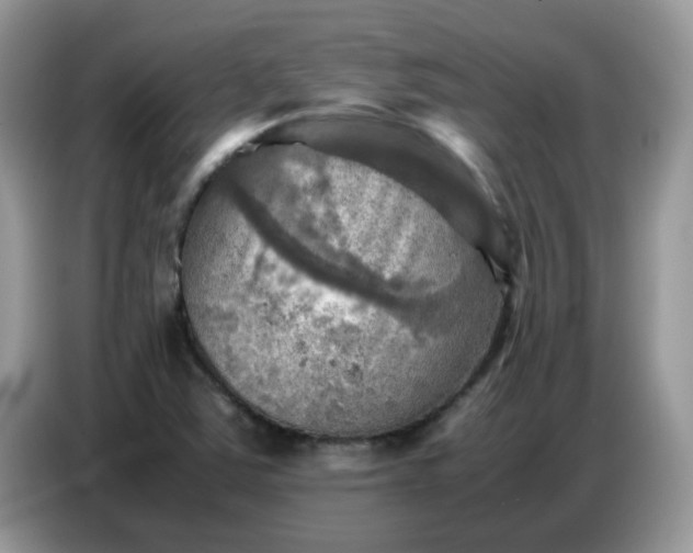 X0000086771363200704271742