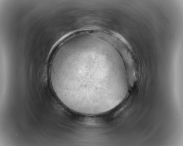 X0000086771364200704271742