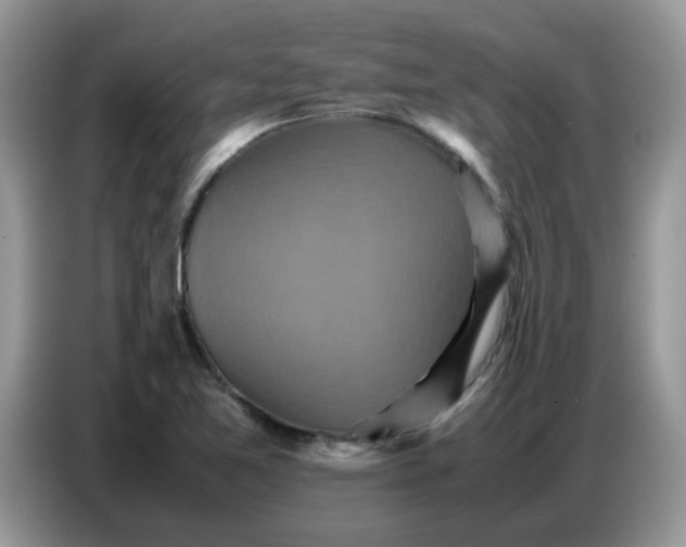 X0000086771365200704271742