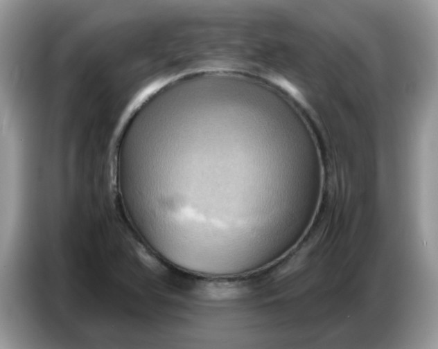 X0000086771366200704271742