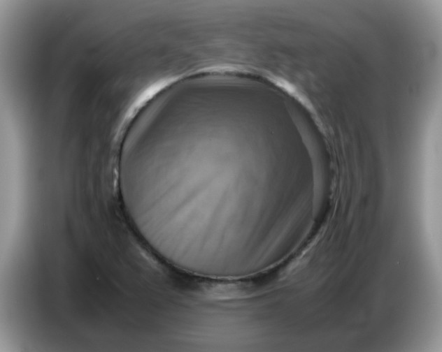 X0000086771367200704271742
