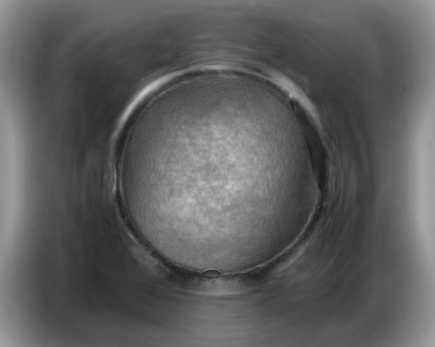X0000086771368200704271742