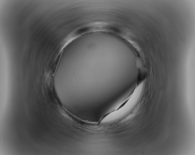 X0000086771369200704271742