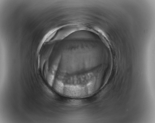 X0000086771371200704271741