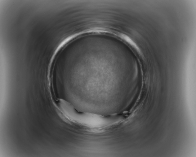 X0000086771372200704271741