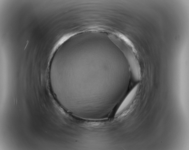 X0000086771373200704271741