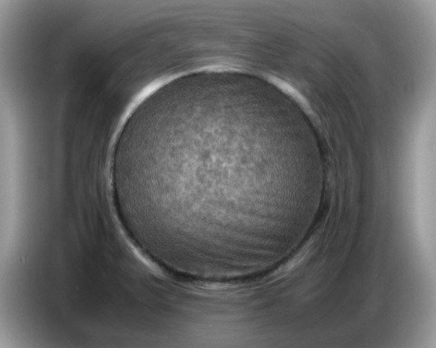 X0000086771375200704271741