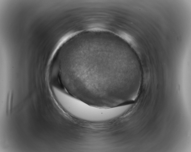 X0000086771376200704271741