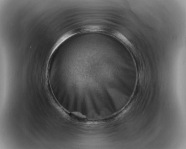 X0000086771378200704271741