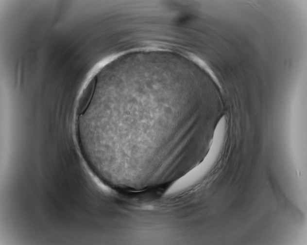 X0000086771379200704271741