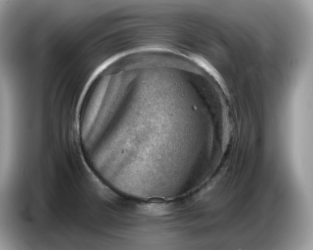 X0000086771380200704271741