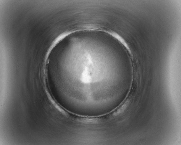 X0000086771381200704271741