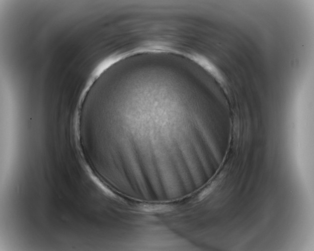 X0000086771382200704271741