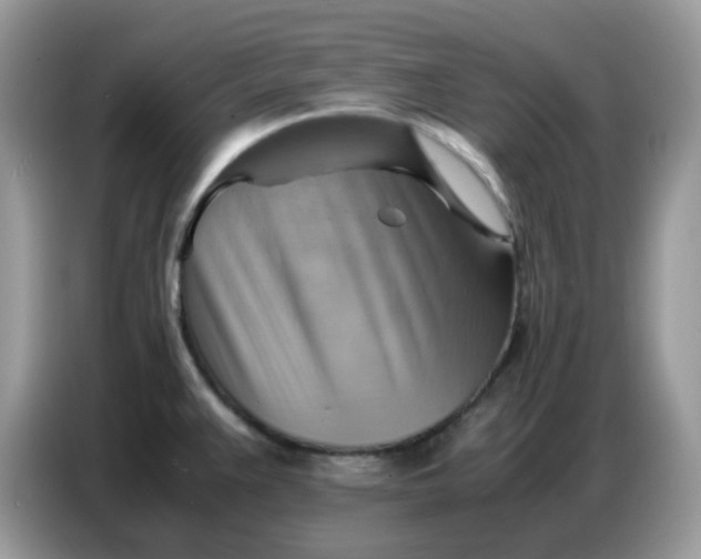X0000086771383200704271741