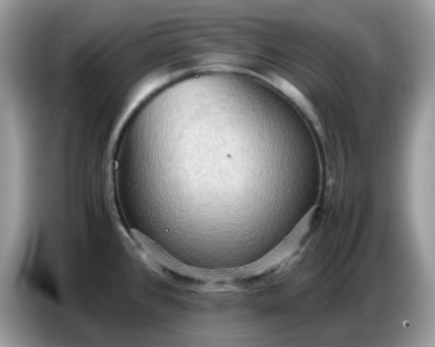 X0000086771384200704271741