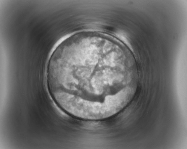 X0000086771387200704271741