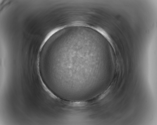 X0000086771390200704271741