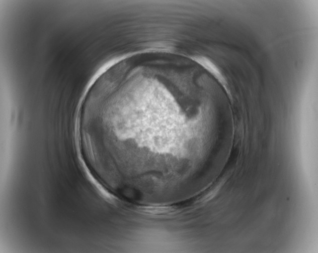X0000086771391200704271741