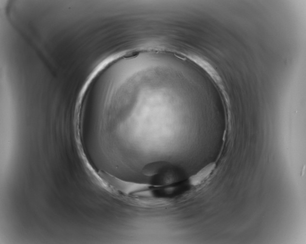X0000086771392200704271741