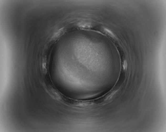 X0000086771396200704271741