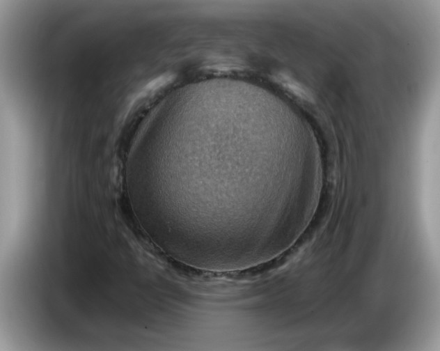 X0000086771398200704271741