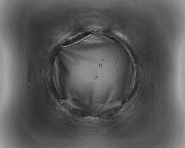 X0000086771399200704271741