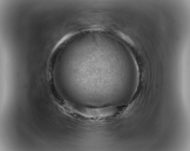 X0000086771400200704271741