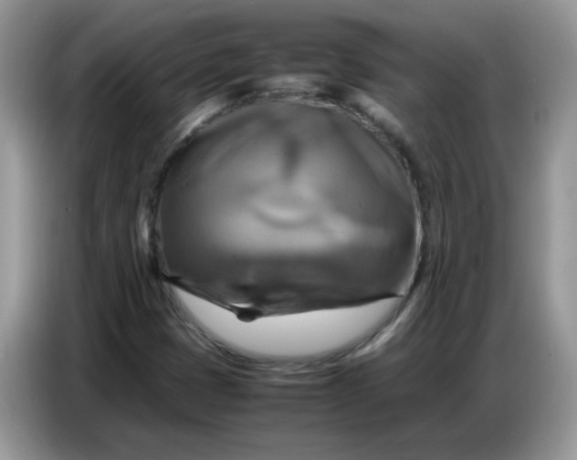X0000086771401200704271741
