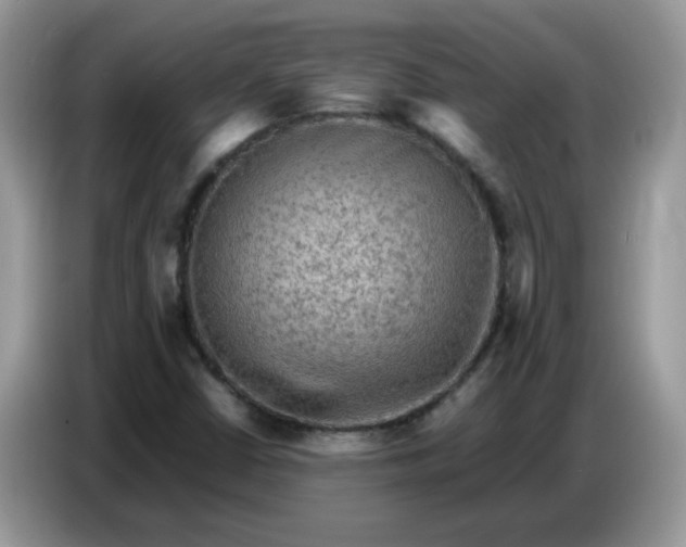 X0000086771402200704271741