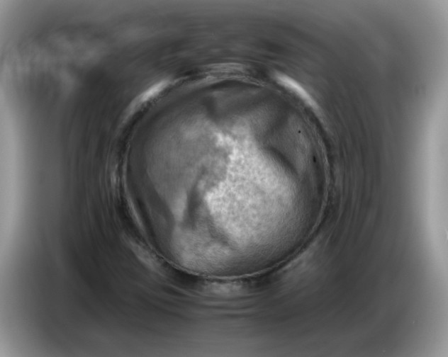 X0000086771403200704271741