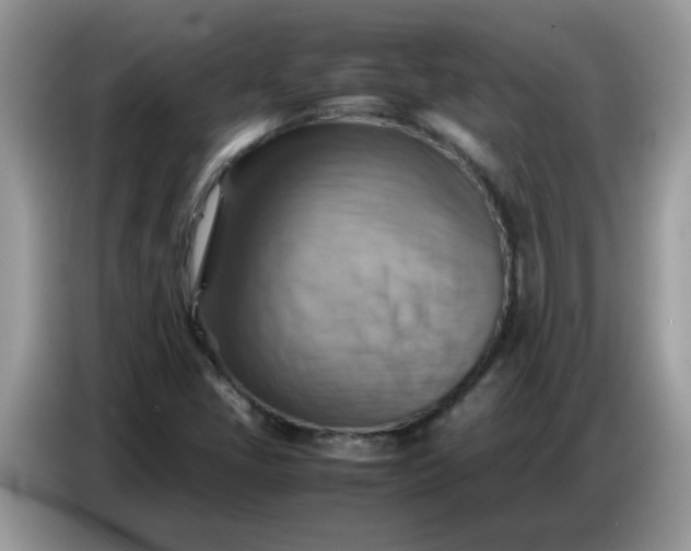 X0000086771405200704271741