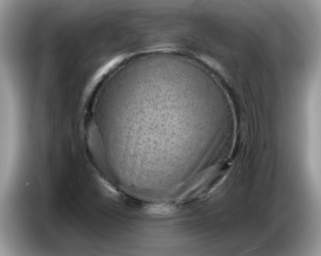 X0000086771406200704271741