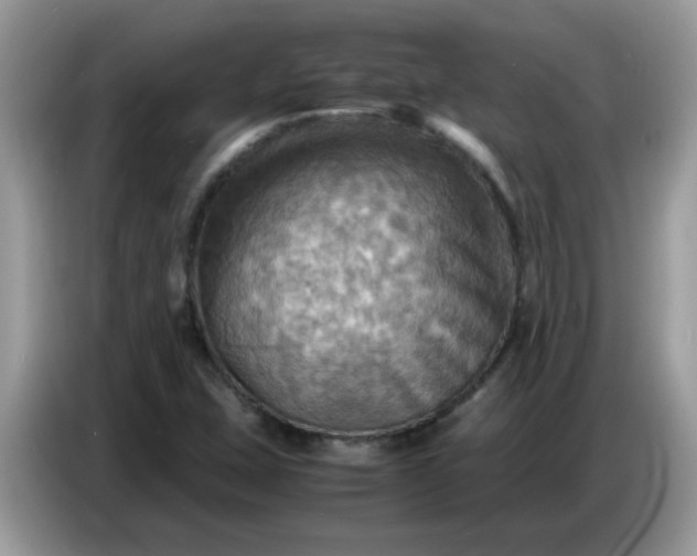 X0000086771407200704271741