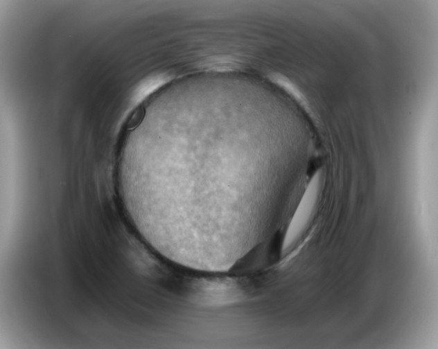 X0000086771410200704271741