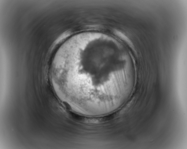 X0000086771411200704271741