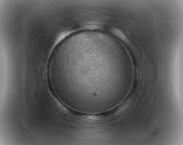 X0000086771412200704271741