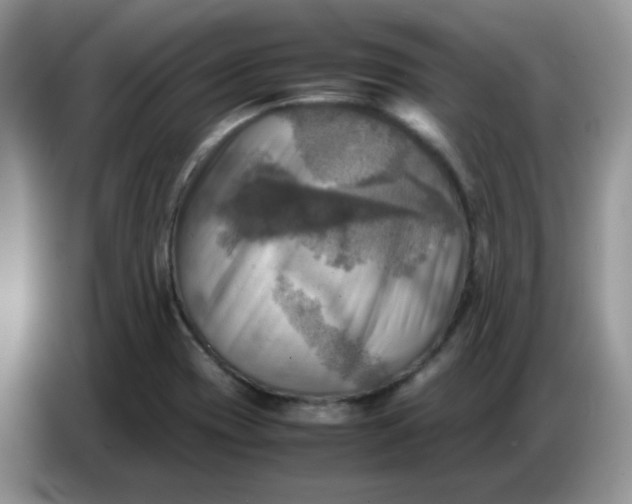 X0000086771417200704271741
