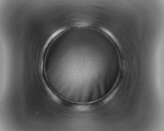 X0000086771418200704271741