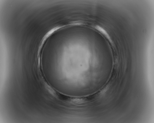 X0000086771419200704271741