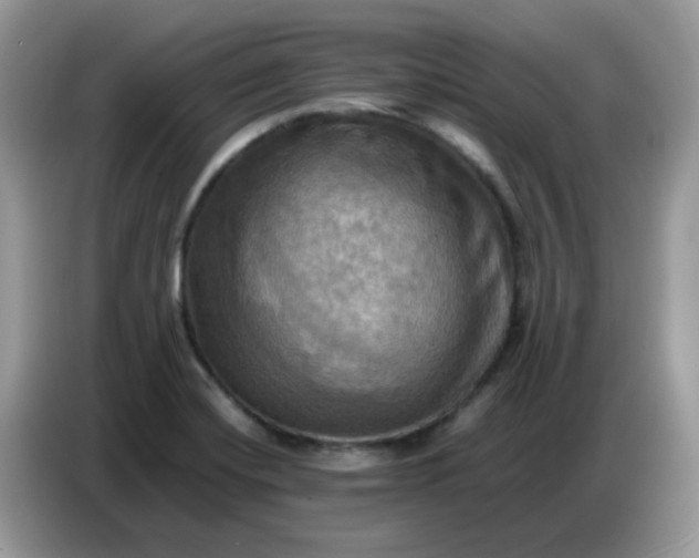 X0000086771420200704271741