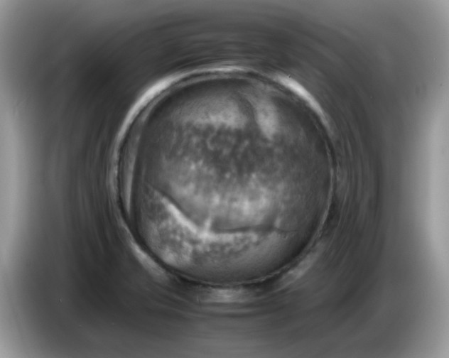 X0000086771421200704271741