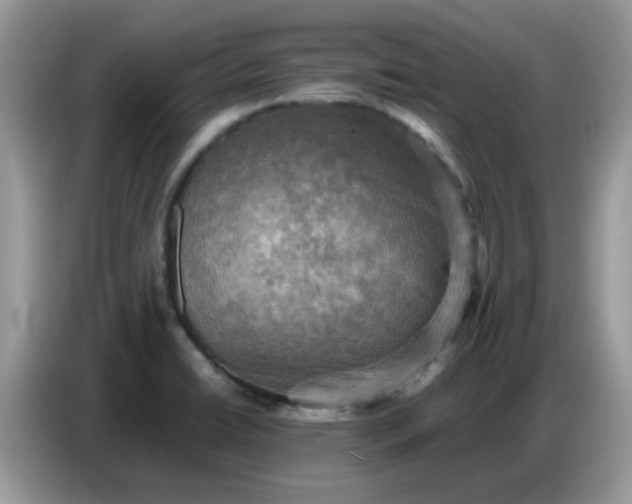X0000086771422200704271741