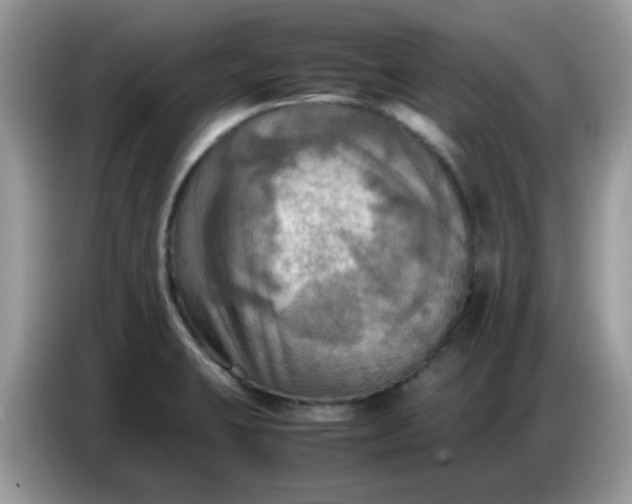 X0000086771423200704271741