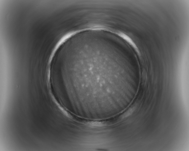 X0000086771424200704271741