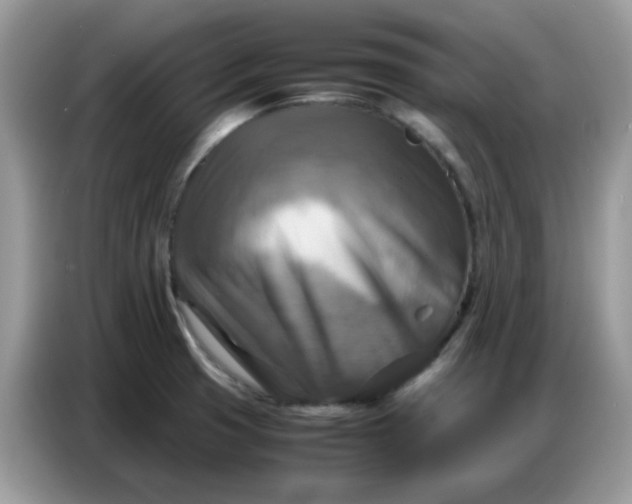 X0000086771425200704271741